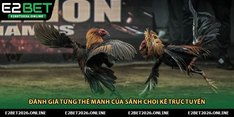 Đánh giá từng thế mạnh của sảnh chọi kê trực tuyến